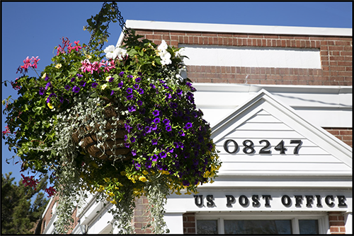 View Craig Miller’s “Stone Harbor Flower Display” photo collection.